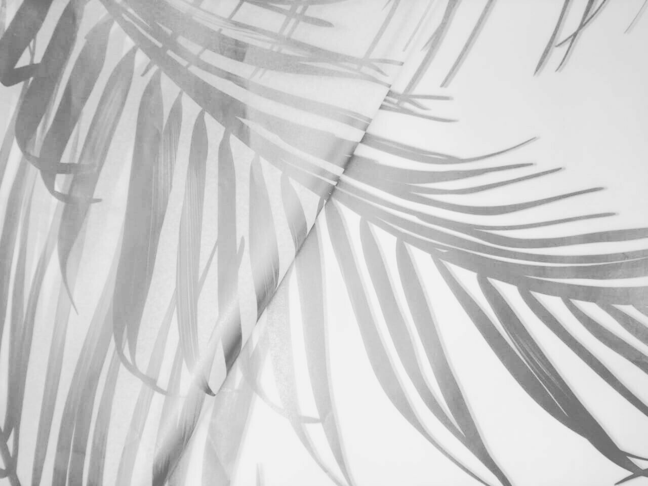 Tissue Paper- Leaf - Silver On White (Qty 25) Tissue Paper- Leaf - Silver On White (Qty 25)