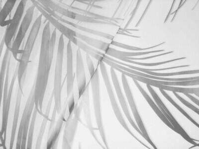 Tissue Paper - Palm Leaf - Silver On White  (Qty 5)
