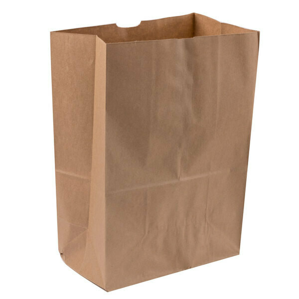 Paper Bags Take Out X Large 120gsm 320 x 160 x 390 mm (Qty 50)