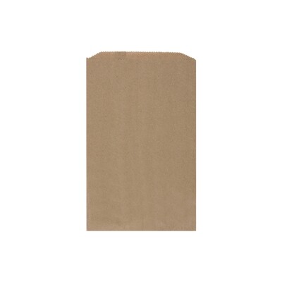 Kraft Paper Bags Size 4 - 200 x 310 mm (Qty 100)