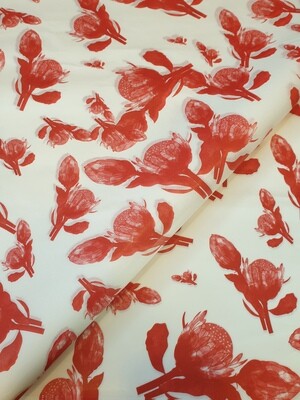 Tissue Paper - Proteas - Red on White (Qty 25)