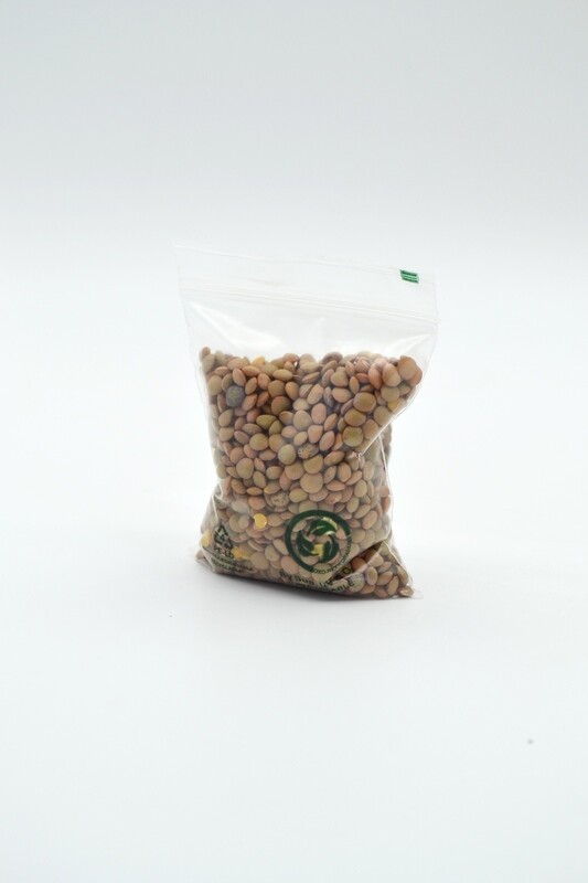 Clear Oxo-Biodegradable Minigrip Zip 65x80x50mic (Qty 50)