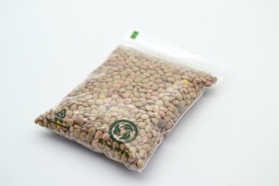 Clear Oxo-Biodegradable Minigrip Zip 80x100x50mic (Qty 50)