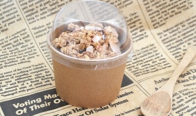 Tub Ice Cream + Plastic Dome Lid Combo Kraft 350 ml (Qty 50)