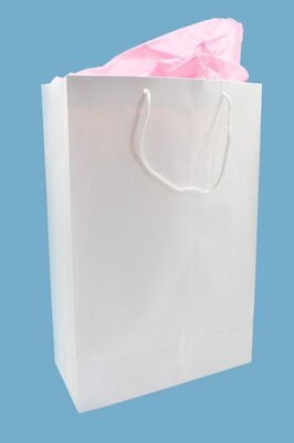 Paper BB Bag Rope Handle Large White 275 x 135 x 415 mm (ea)