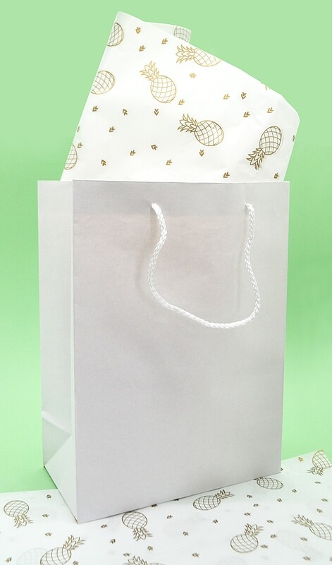 Paper BB Bag Rope Handle Small White 235 x 125 x 320 mm (ea)