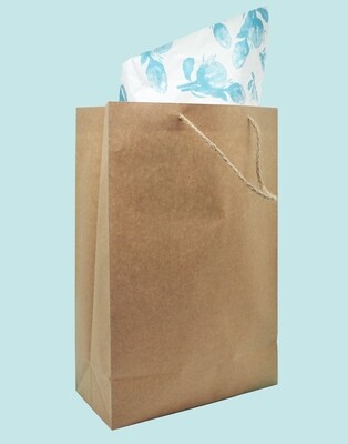 Paper BB Bag Rope Handle Large Brown 275 x 135 x 415 mm (ea)