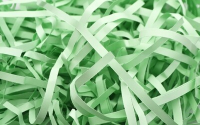 Shredded Strip Cut Paper 90g - Pastel Green (ea)