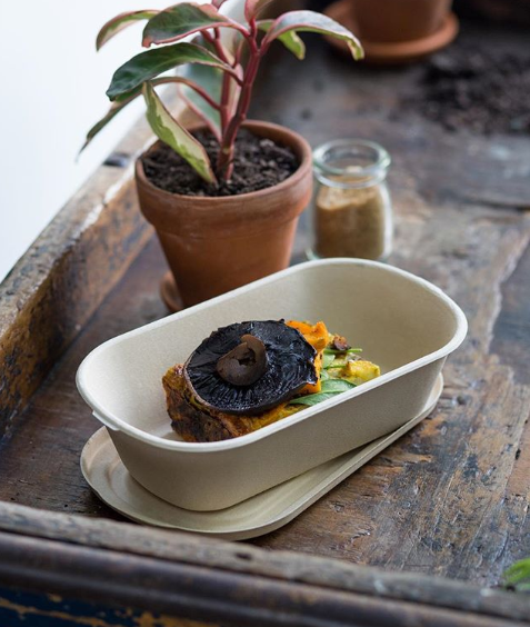 Earth Compostable Meal Tray 1 div 1000 ml (Qty 50)