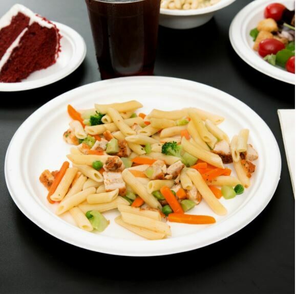 E - EcoWare Compostable Plate 26cm (50)