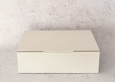 Box Corrugated Parcel XL 410 x 310 x 120 mm - White (ea)