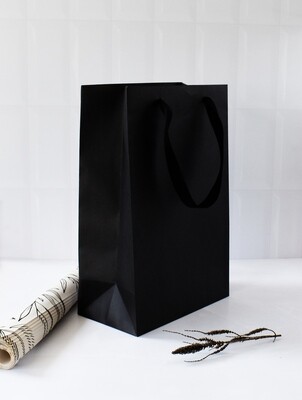 Paper Gift Bag Black Satin Ribbon 220 x 123 x 340 mm (ea)