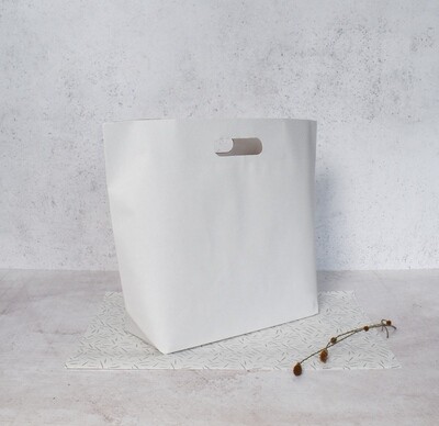 Paper SS Bags Opol Small White 385x110x305mm
