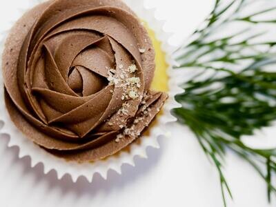 Cupcake &amp; Muffin Cups