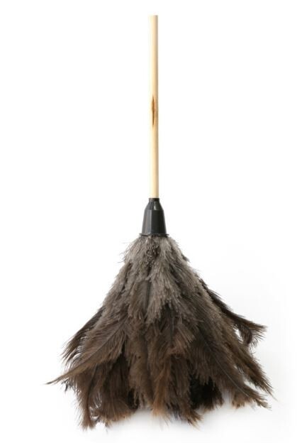 Feather Duster
