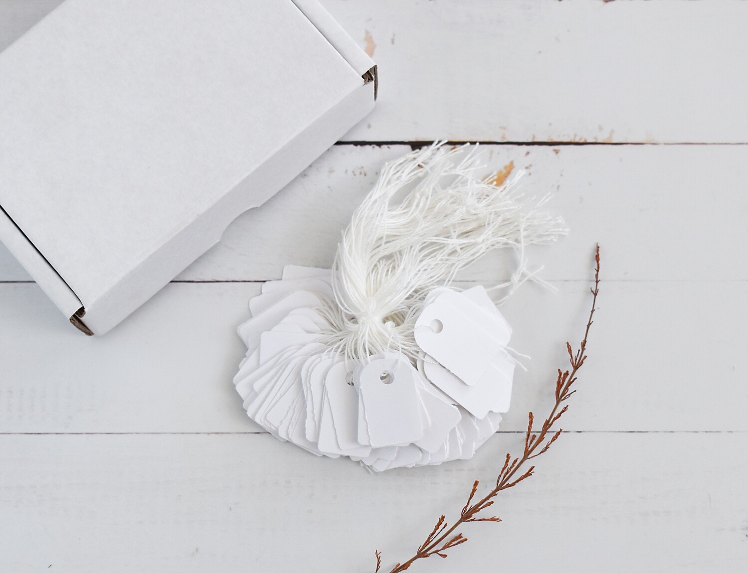 Paper Tags White 25 x 15mm (Qty 100)