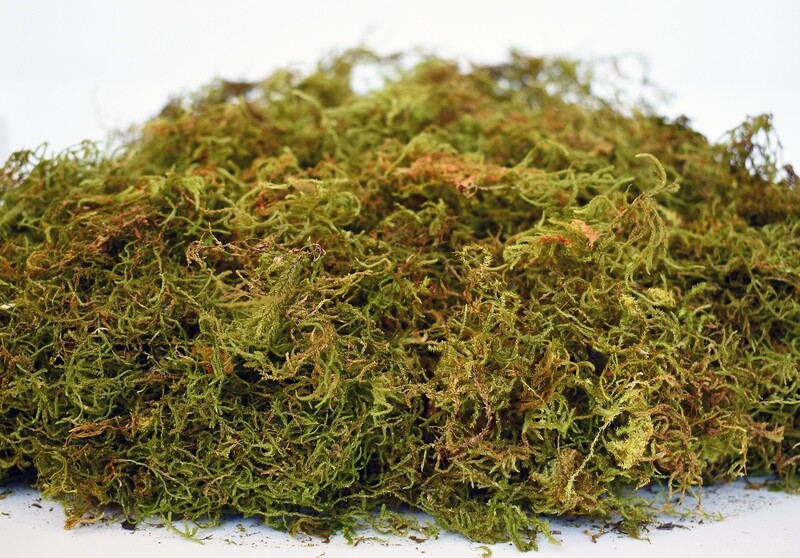 Natural Moss ± 200g Pack
