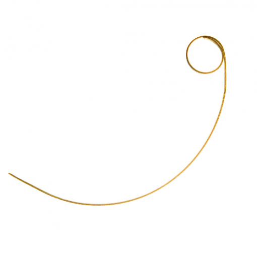 Skewers Bamboo Curve Twister 12cm (pack of 100)