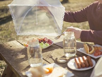 White Umbrella Nylon Food Cover 30.5cm