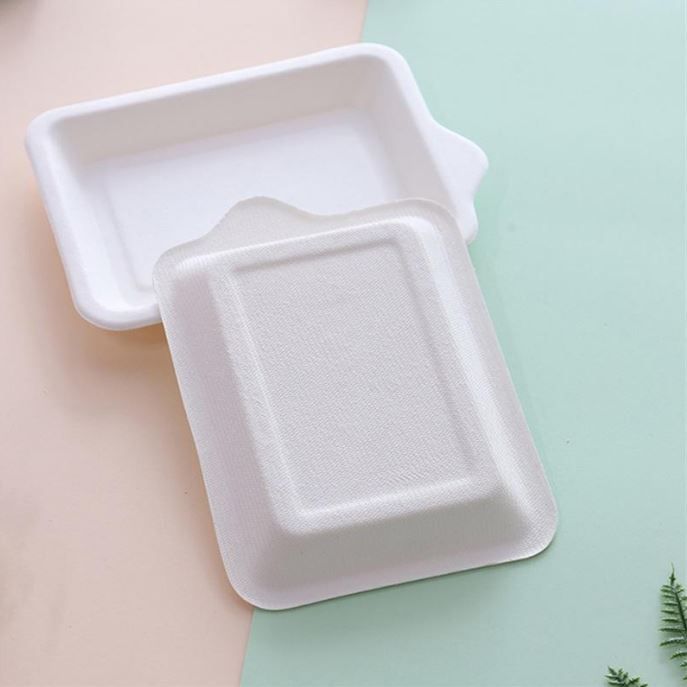 Sugarcane Plate Rectangle 140x100x15mm (Qty50)