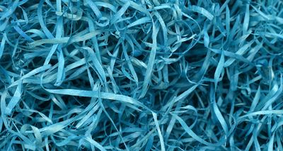 Wood Wool 100g Fine - Turquoise