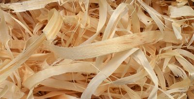 Wood Wool 100g Coarse - Natural
