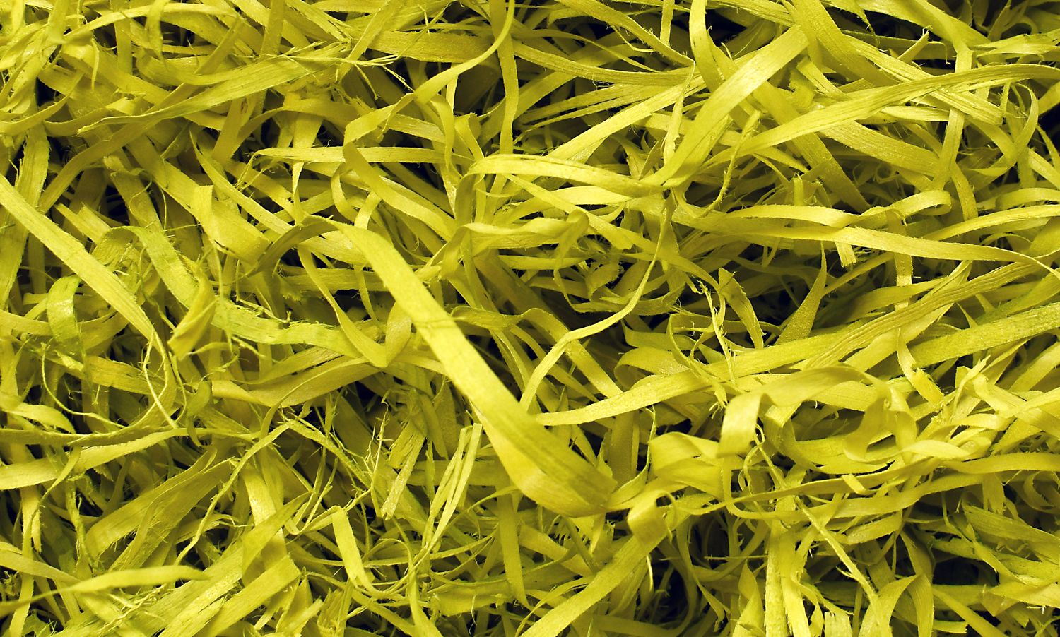 Wood Wool 100g Fine - Lime Green