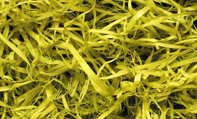Wood Wool 100g Fine - Lime Green