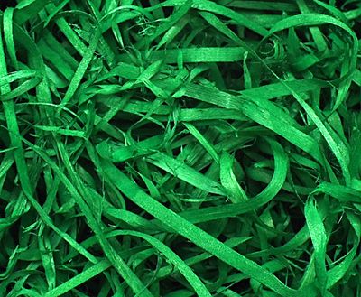 Wood Wool 100g Fine - Green