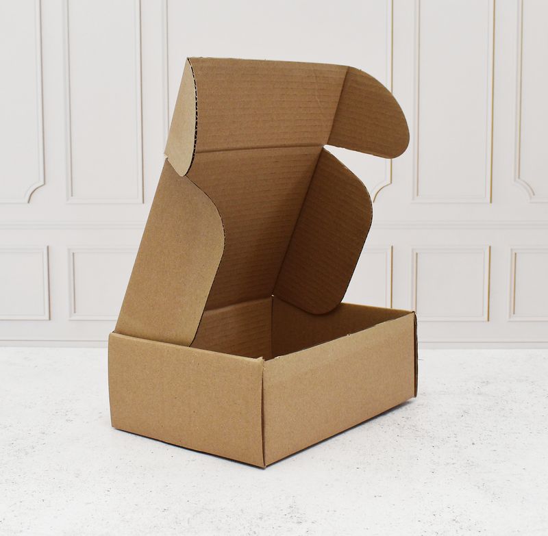 Corrugated Hinge Lid Box Large 225x165x80mm (ea)