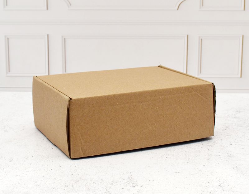 Corrugated Hinge Lid Box Large 225x165x80mm (ea)