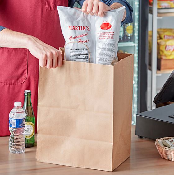 Paper Bag Twist Handle Shopper 90gsm Kraft 315x160x380 (25)