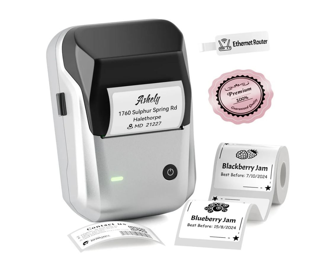 Niimbot B1 Portable Thermal Label Printer Silver (each)