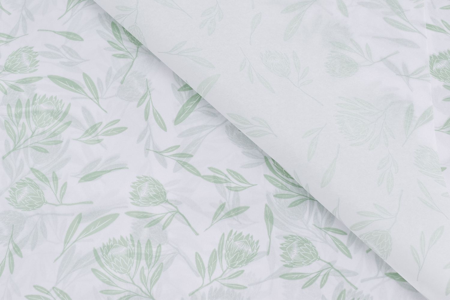 Tissue Paper - Fynbos-Green-On White (Qty25)