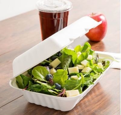 E - Compostable Clamshell Box 1000 ml - No Division (Qty 50)