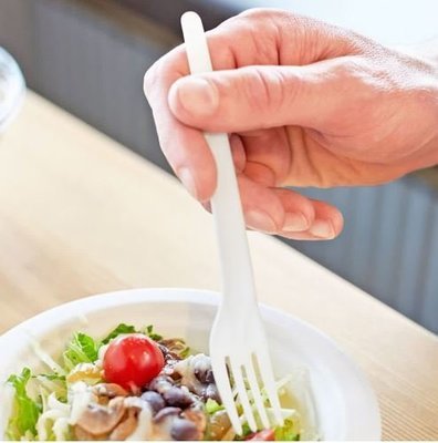Cutlery Compostable Fork 15cm (100)