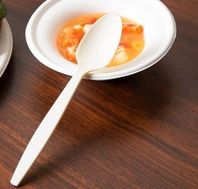 Cutlery Compostable Spoon (Qty 100)