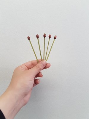 Skewers Bamboo Matsubagushi Red Bead (Qty 100)