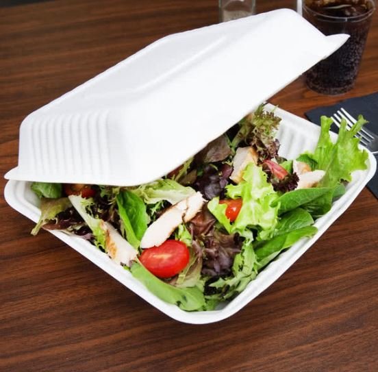 Compostable Bagasse Clamshell Box 1.2 L No Division (Qty 50)