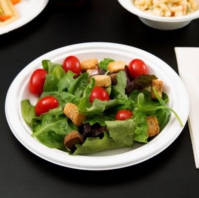 EcoWare Compostable Plate 18 cm (50)
