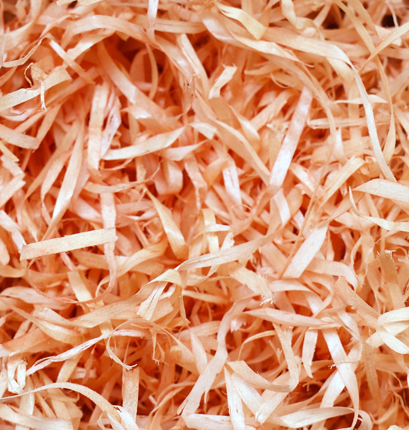 Wood Wool 100g Fine - Peach