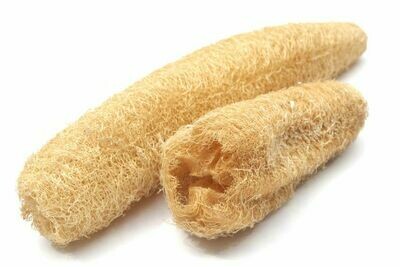 Loofah Plant Sponge - Large