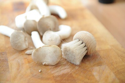 Wooden Mushroom Cleaning Brush (each)