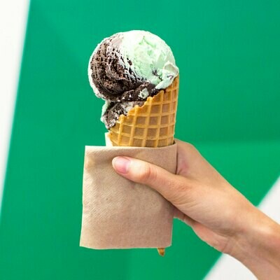 Serviettes Bamboo 2ply Dinner 33cm x 33cm (Qty 100)