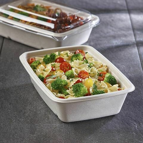 Meal Tray Sugar Cane Rectangular White &amp; PET clear Lid 500ml (Qty25)