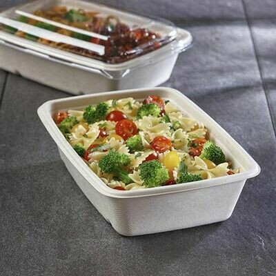 Meal Tray Sugar Cane Rectangular White &amp; PET clear Lid 500ml (Qty25)