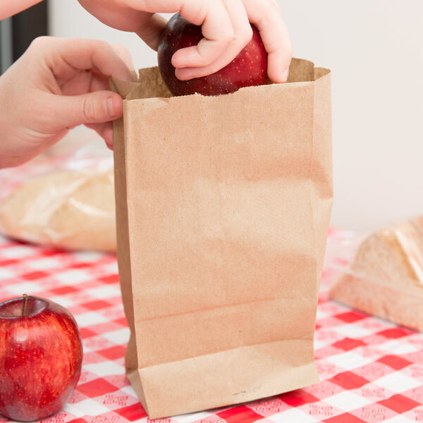 Brown Paper Bags SO 3 - 125 x 70 x 215 mm (Qty 100)