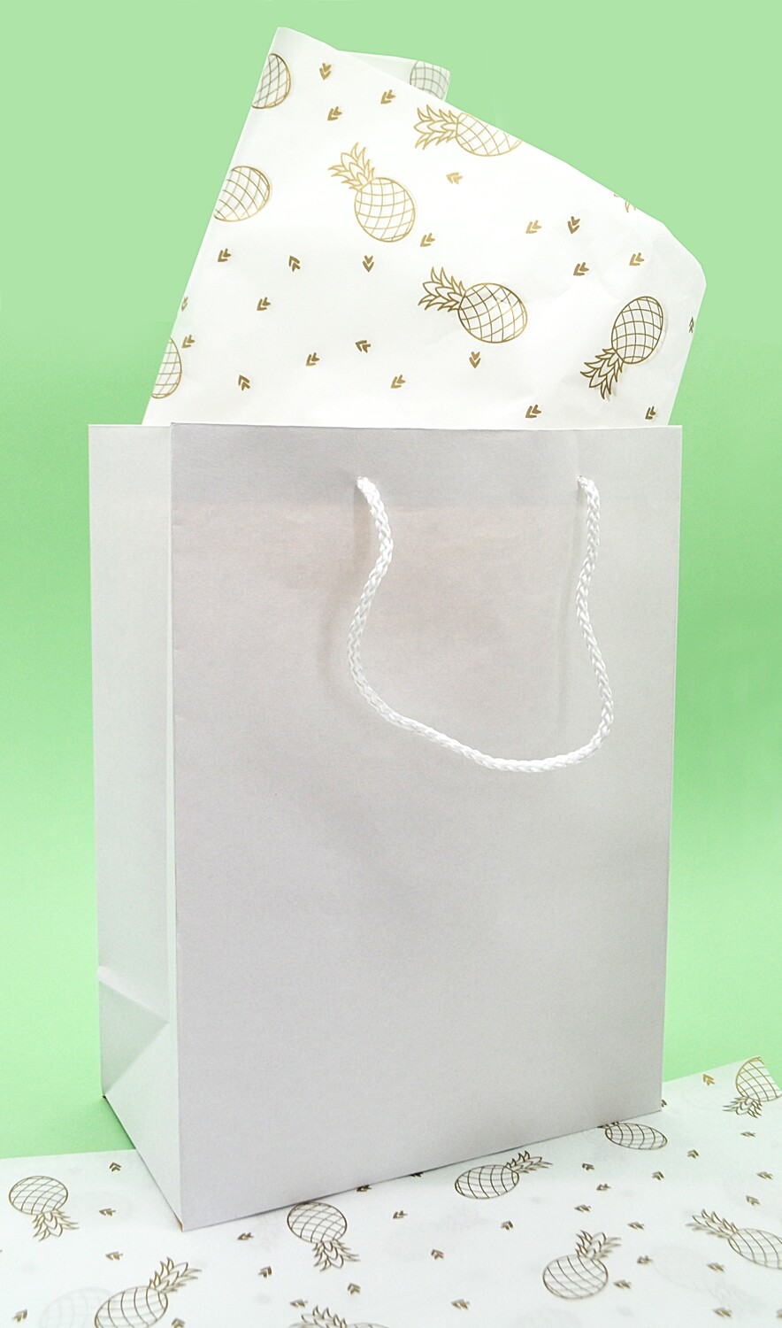 Paper BB Bag Rope Handle Small White 235 x 125 x 320 mm (ea)