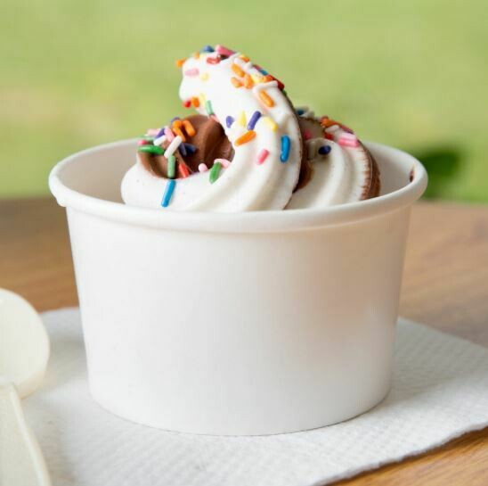 Tub Paper XJ White 250 ml (each) - **LID NOT INCLUDED**