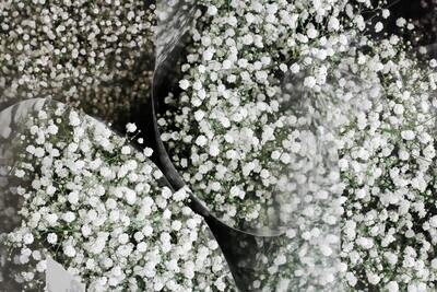 Cello Roll Clear 500 mm x 50 meter (ea)